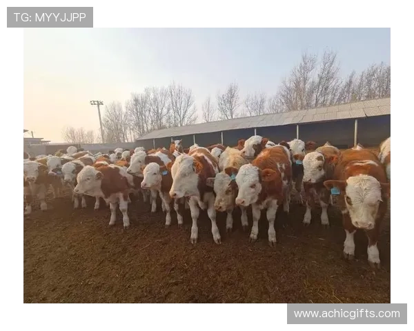 尊龙凯时中国人生:未来趋势下个人如何把握机遇实现人生突破