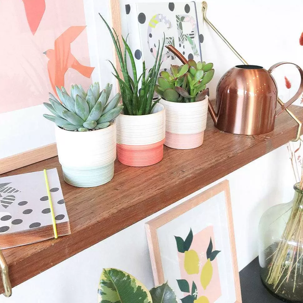 Cheap Aqua Mini Plant Pot Home Office