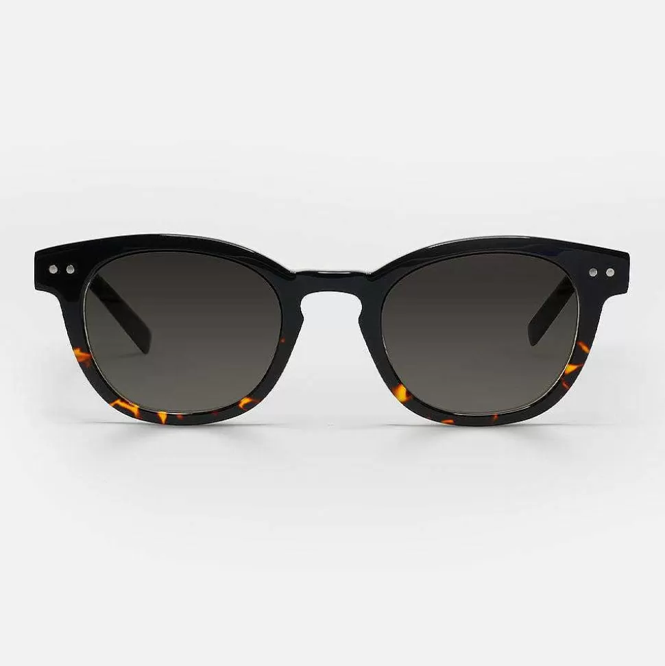 Hot Black Tortoise Waylaid Polarized Sunglasses Sunglasses