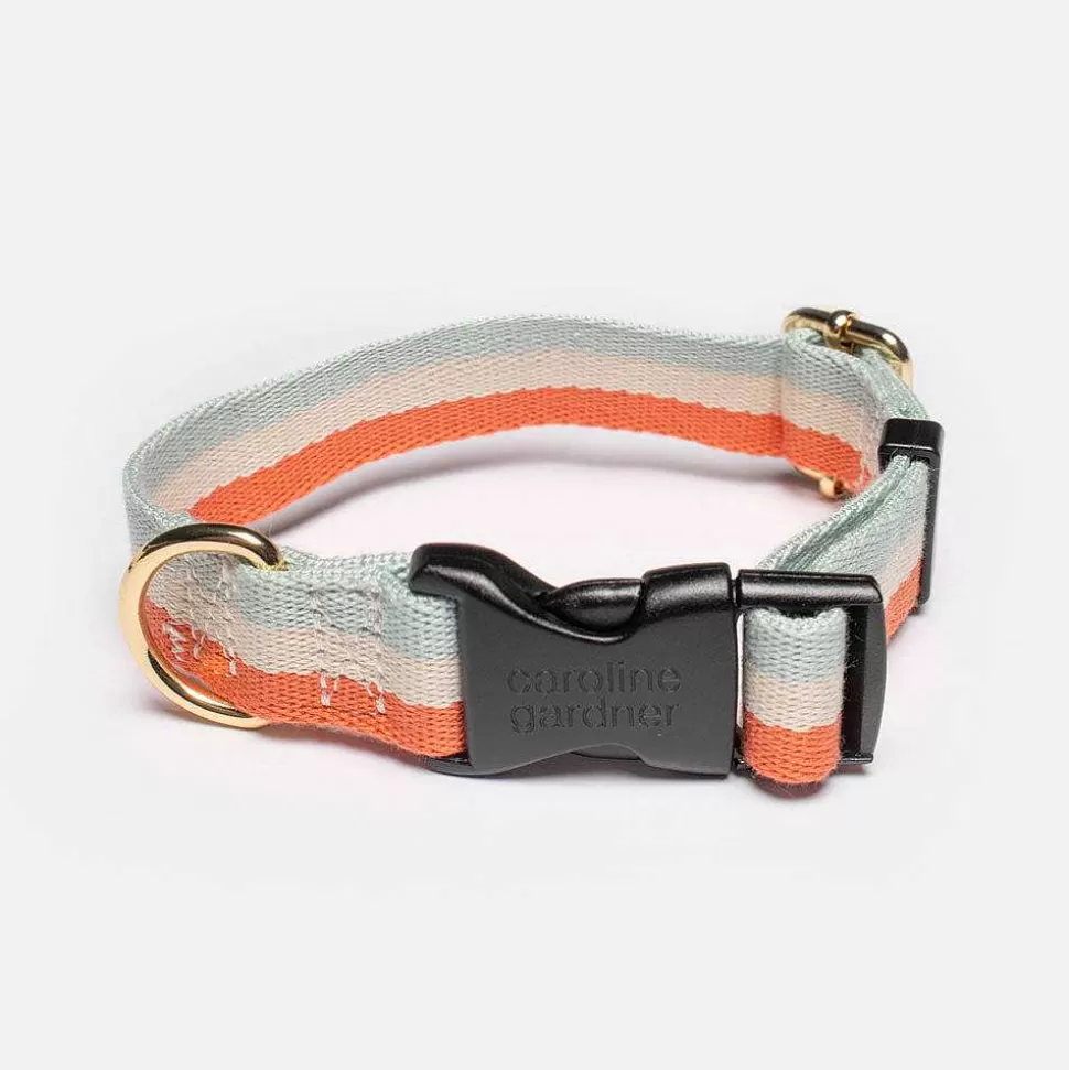 New Blue/Coral Orange Stripe Dog Collar Harnesses, Leads & Collars