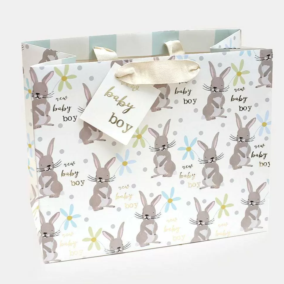 New Bunny New Baby Boy Landscape Gift Bag For Him