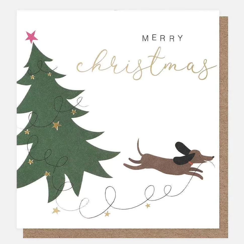 Sale Cars And Sausage Dog Christmas Charity Christmas Cards Pack Of 8 Packs Of Cards