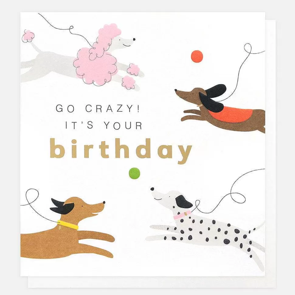 Flash Sale Chasing Dogs Birthday Card For Her