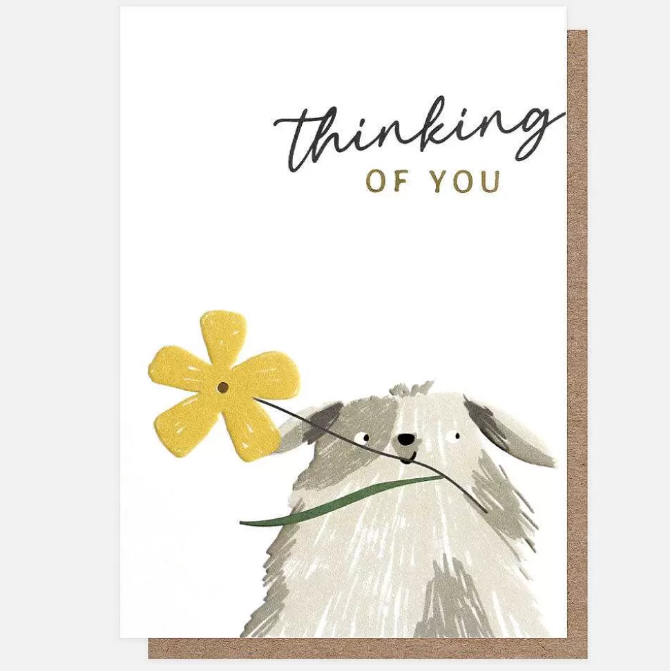 New Dog With Flower Thinking Of You Card Get Well Soon Cards