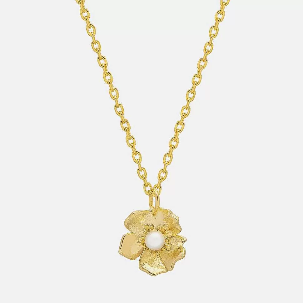 Online Gold Plated Buttercup Pearl Necklace Necklaces