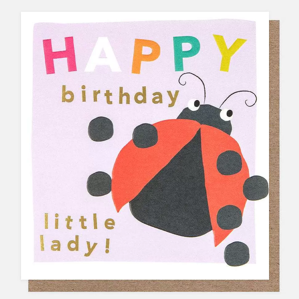 Best Happy Birthday Little Lady Ladybird Birthday Card New Cards