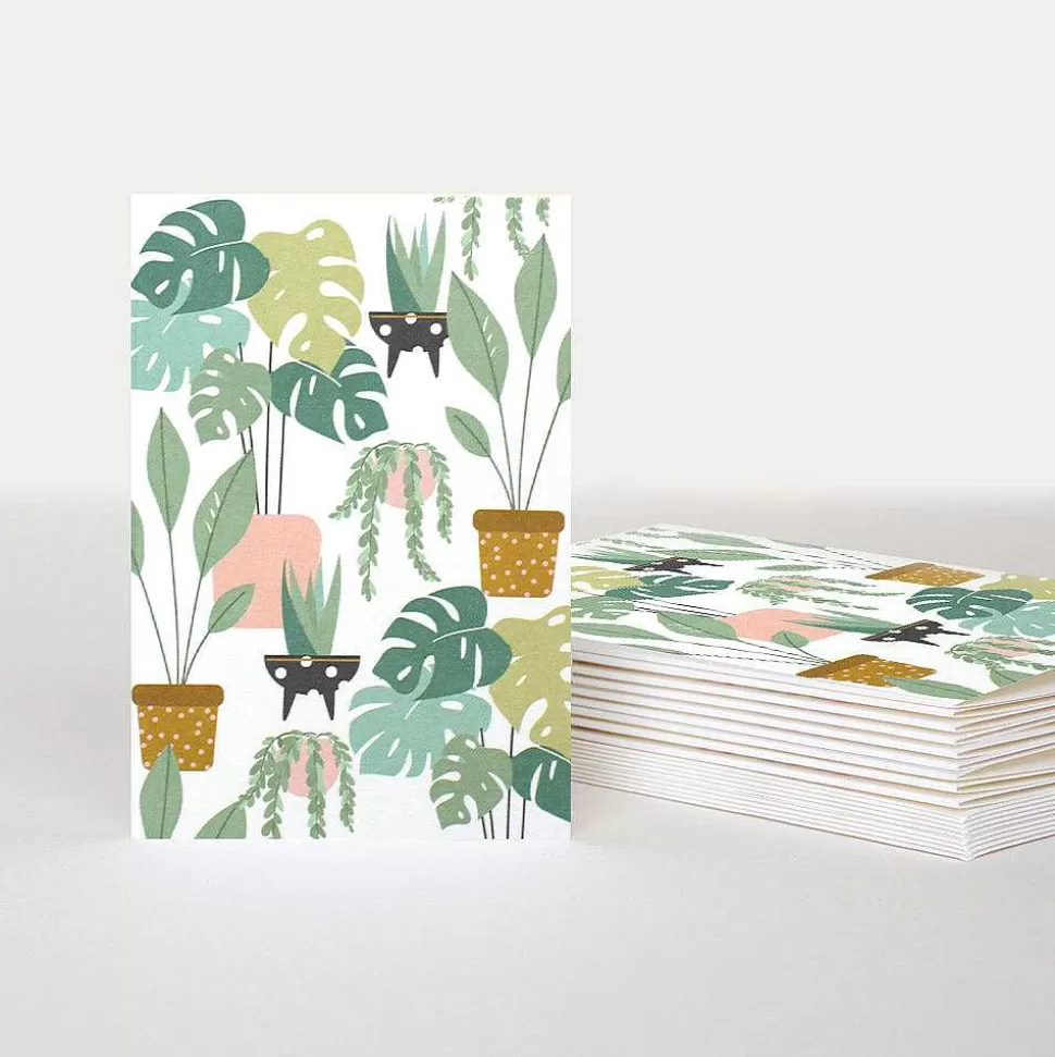 Sale House Plants Blank Notecards Pack Of 10 Blank Notecards Packs