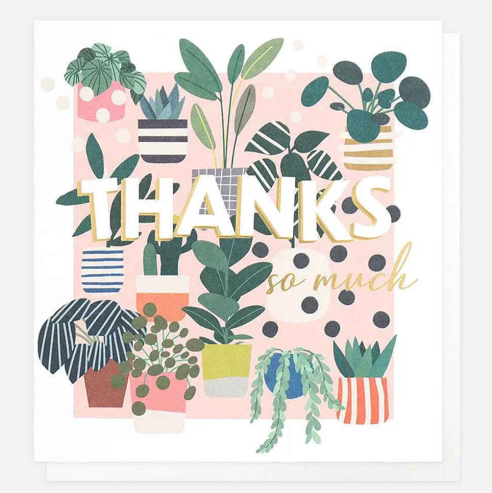 Cheap House Plants Thank You Card Thank You Cards