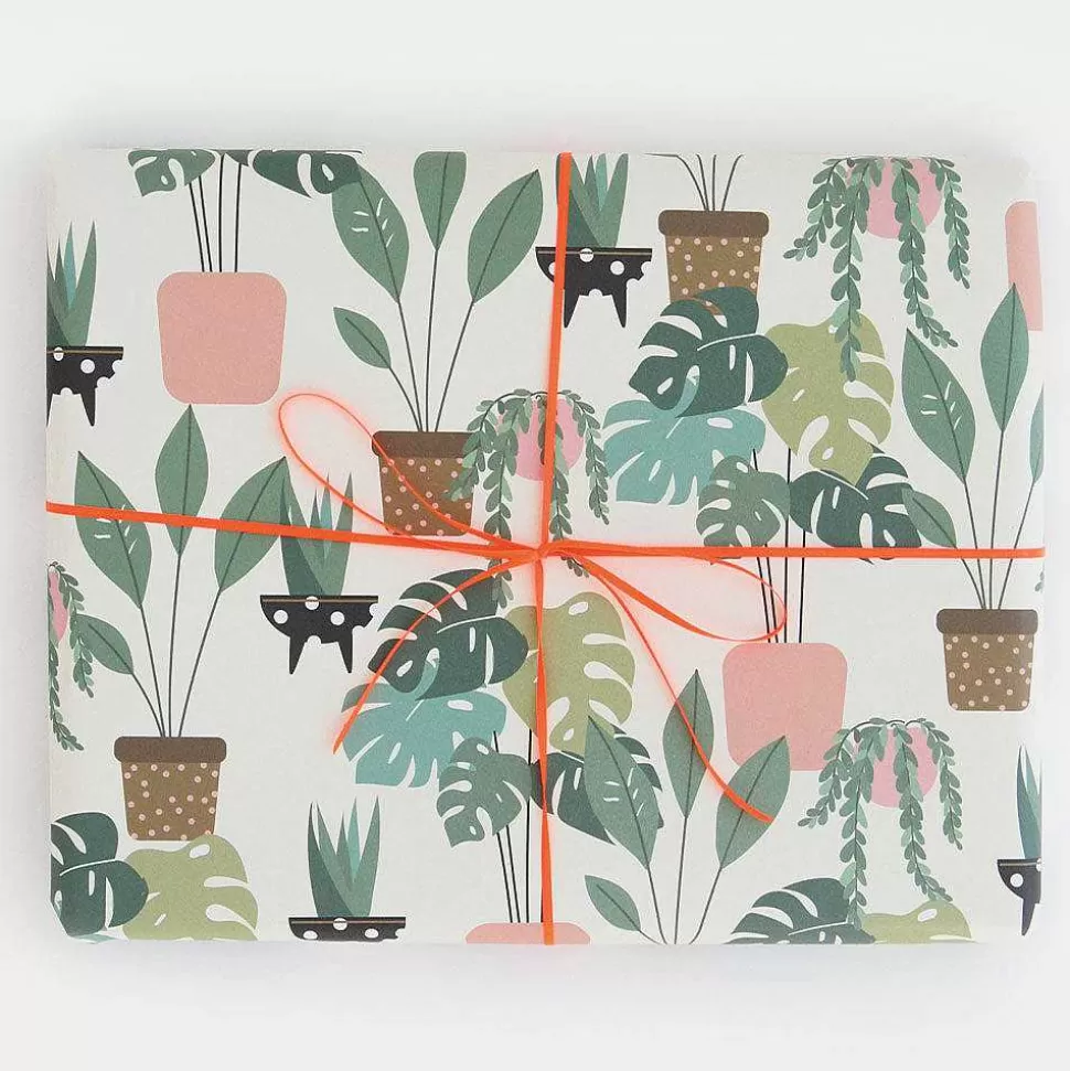 Best Indoor Plants Wrapping Paper Wrapping Paper