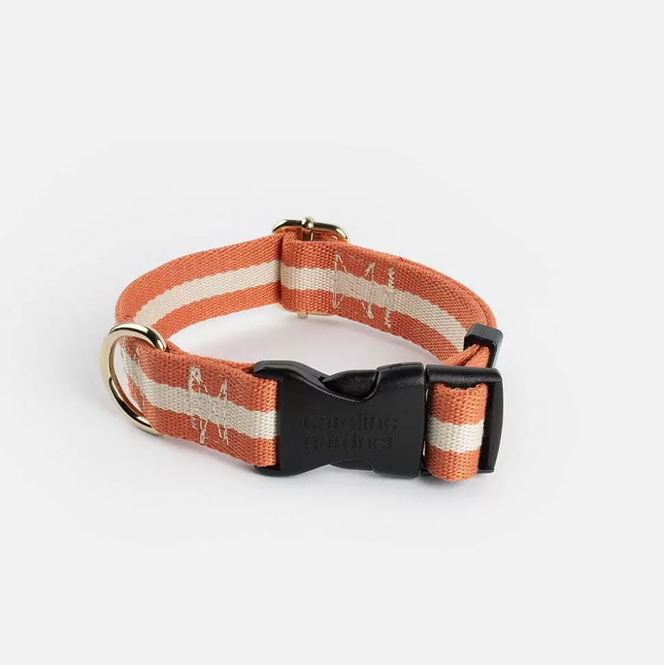 Fashion Orange/Cream Stripe Dog Collar Harnesses, Leads & Collars