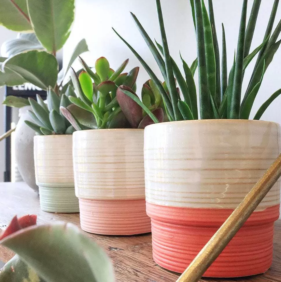 Flash Sale Pale Pink Mini Plant Pot Home Office