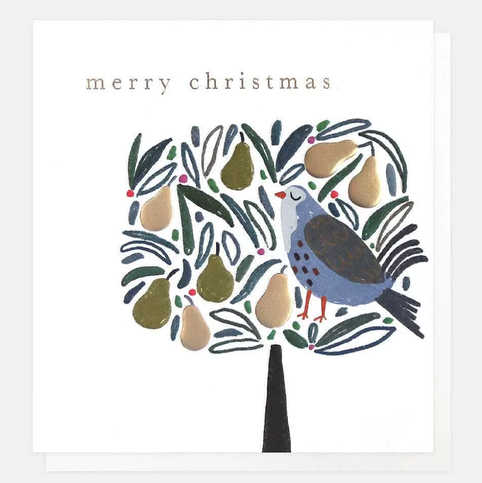 Store Partridge In A Pear Tree Charity Christmas Card Pack Of 8 Christmas Card Packs