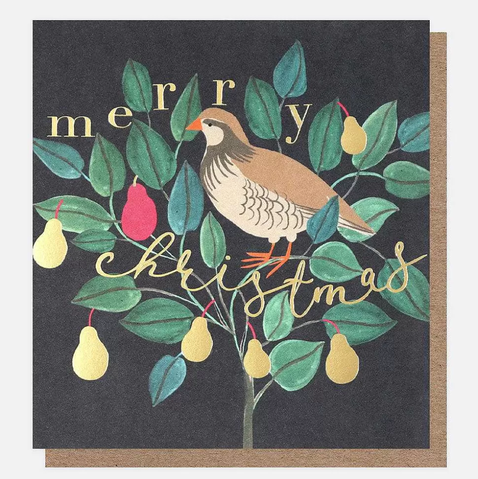 Store Partridge In A Pear Tree Charity Christmas Cards Pack Of 8 Packs Of Cards