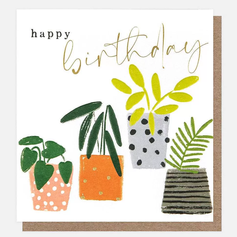 Flash Sale Patterned Plant Pots Birthday Card For Them