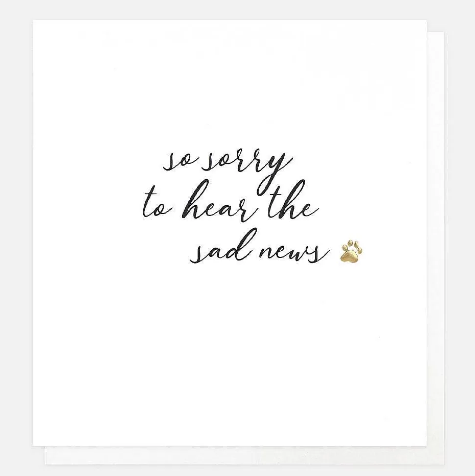 New Paw Print Sorry To Hear Sympathy Card Sympathy Cards