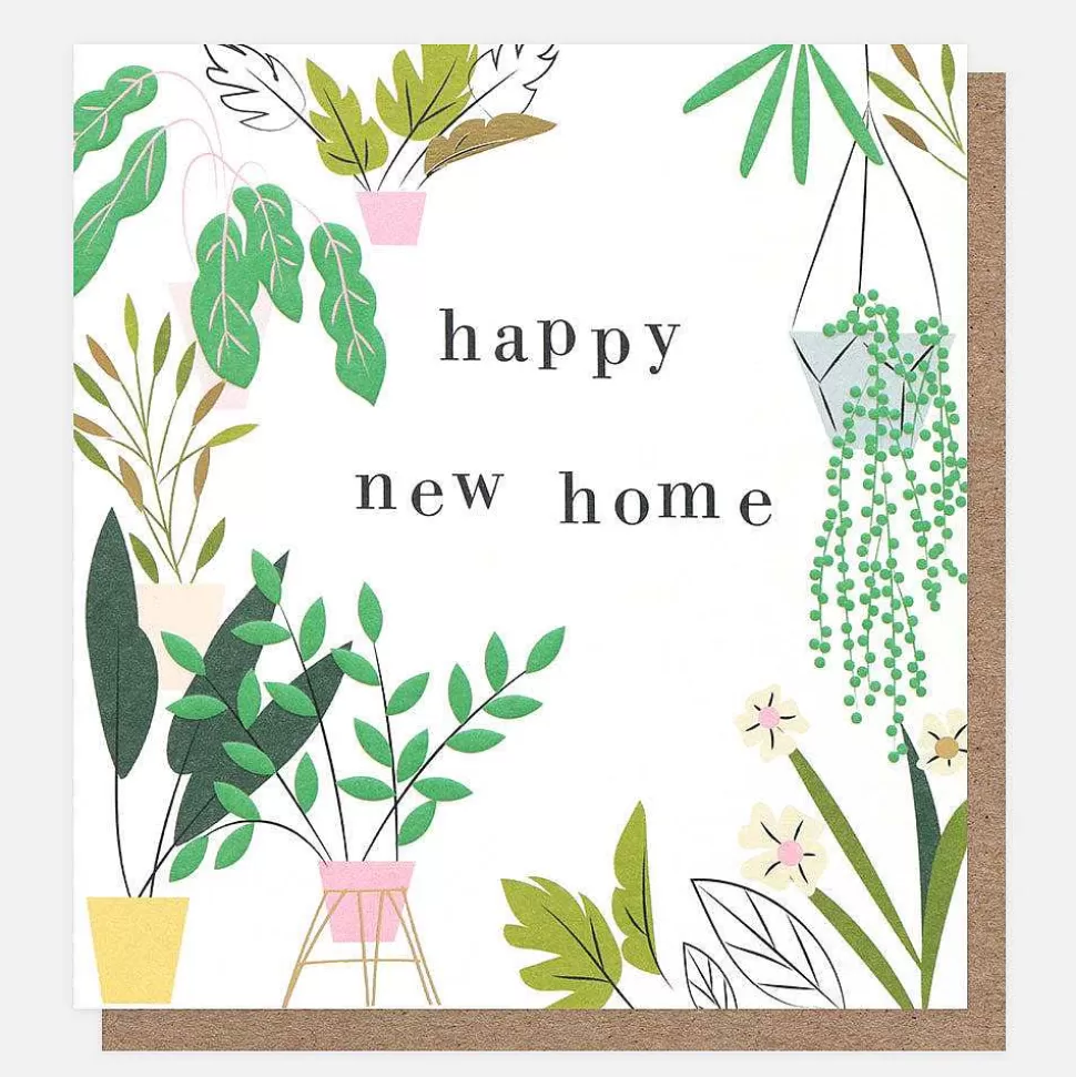 New Pot Plants New Home Card New Home Cards