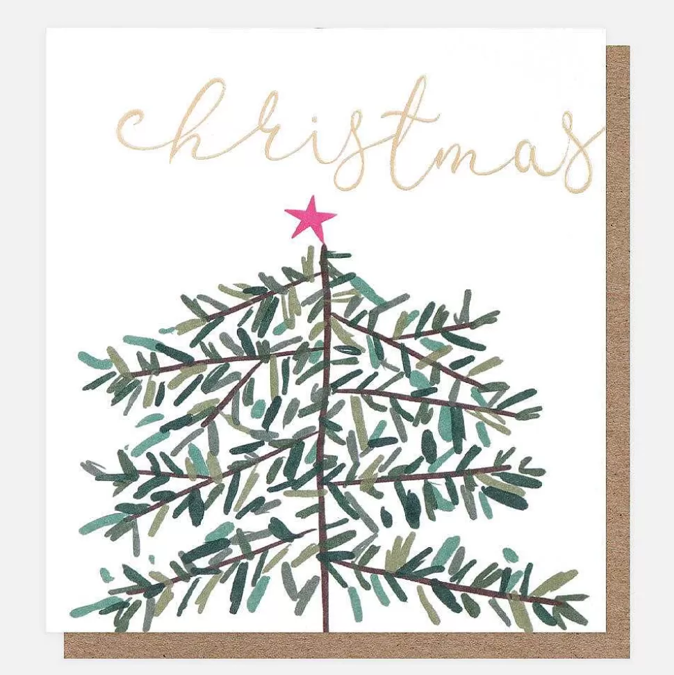 Hot Robins And Tree Charity Christmas Cards Pack Of 8 Christmas Cards