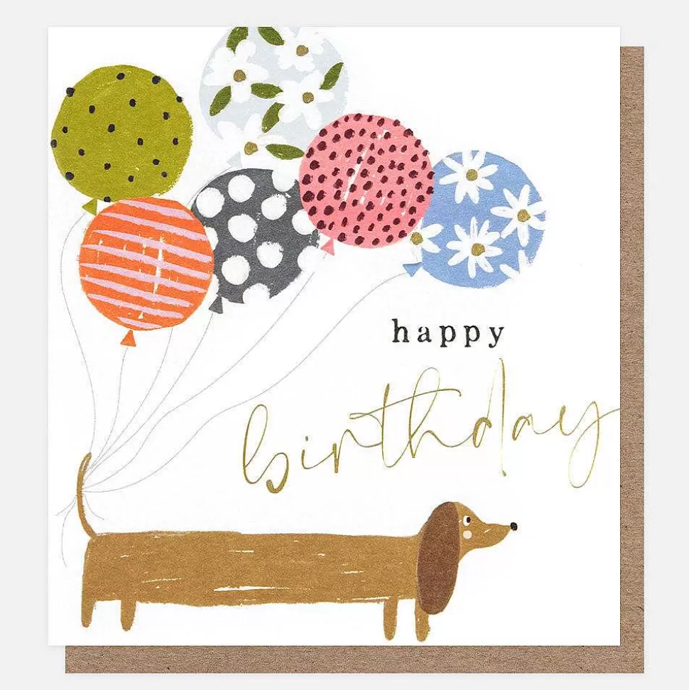 Best Sausage Dog With Balloons Birthday Cards Birthday Cards