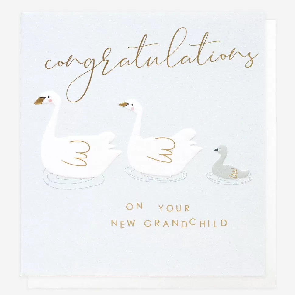 New Swans New Grandchild Baby Card For Grandparent New Baby Cards