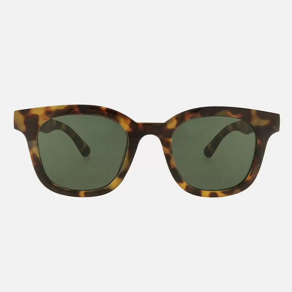 Best Tortoise Paul Sunglasses Sunglasses