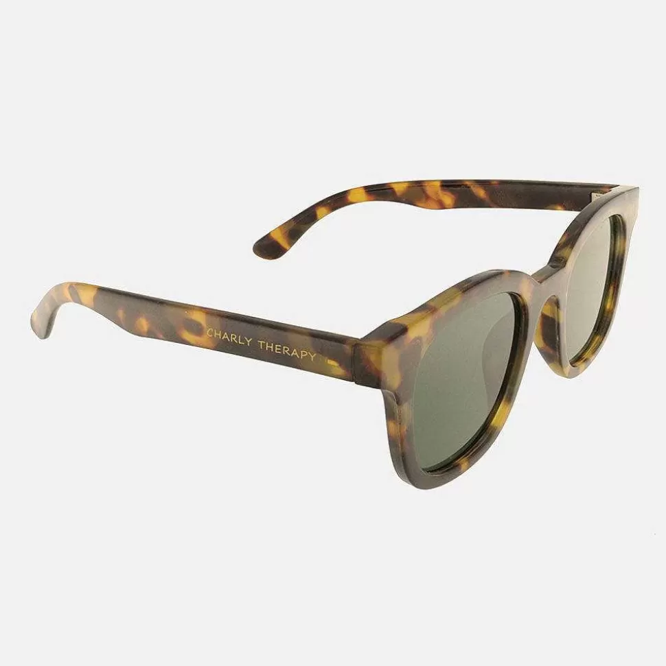 Best Tortoise Paul Sunglasses Sunglasses