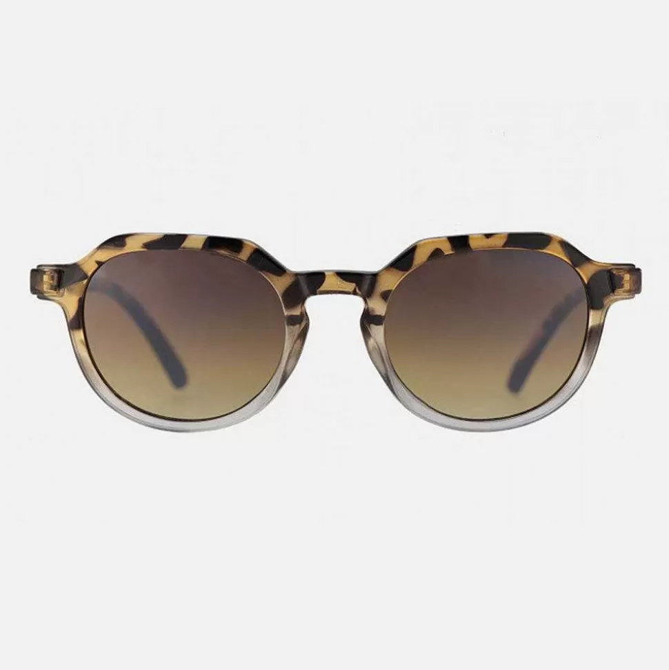 Best Tortoise/ Transparent Fede Sunglasses Sunglasses